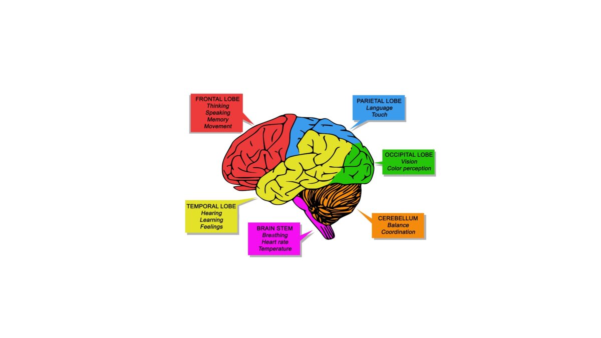 Read more about the article The impact of fear over skill and will in human beings
