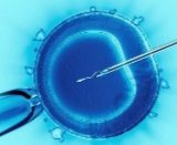 Read more about the article What Is an IVF Baby?
