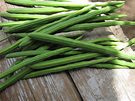Read more about the article Drumsticks – (Moringa oleifera) benefits
