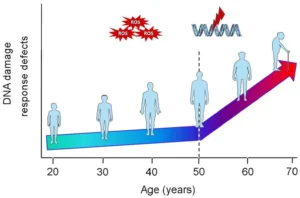 Read more about the article Blood, Energy, Aging, DNA, and Destiny .